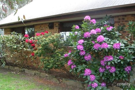 Property photo of 10 Pulpit Hill Road Katoomba NSW 2780