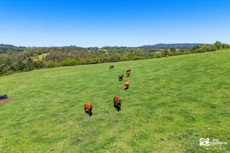 343 Williams Rd, Barkers Vale, NSW 2474