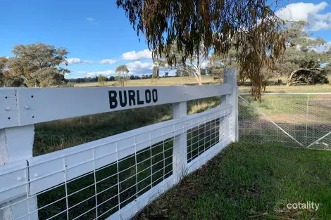 16183 Oxley Hwy, Coonabarabran, NSW 2357