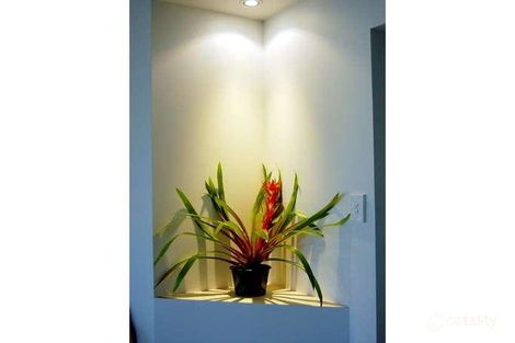 Property photo of 25-27 Third Avenue Barellan Point QLD 4306