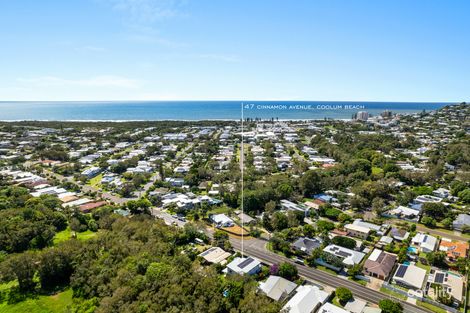 Property photo of 47 Cinnamon Avenue Coolum Beach QLD 4573
