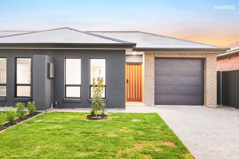 14a Baker Ave, Morphettville, SA 5043