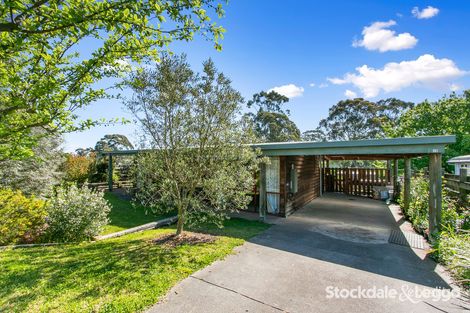 15 Albert St, Yinnar, VIC 3869