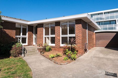 3/50 Black St, Brighton, VIC 3186