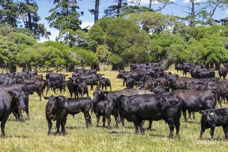 97 Toomeys Creek Rd, Mardan, VIC 3953