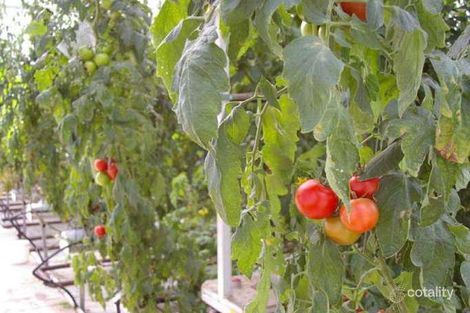 Property photo of 39 Beddington Road Doonan QLD 4562