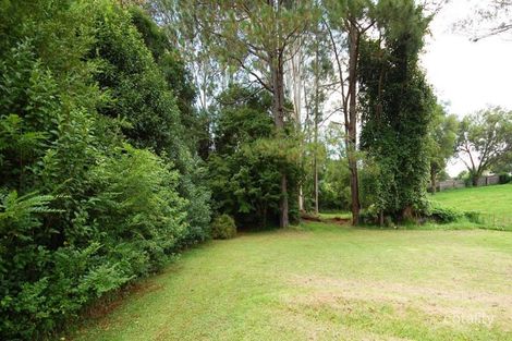 Property photo of 25 Beech Street Dorrigo NSW 2453