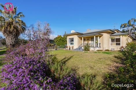 Property photo of 101 Palm Avenue Leeton NSW 2705