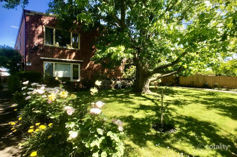 Property photo of 11/14 Charles Street Glen Iris VIC 3146