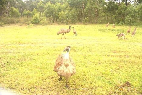 Property photo of 15 Tanbark Circuit Werrington Downs NSW 2747