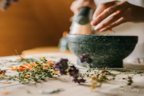 Property photo of 88-90 River Oak Drive Flagstone QLD 4280