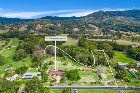 Property photo of 421 Left Bank Road Mullumbimby Creek NSW 2482