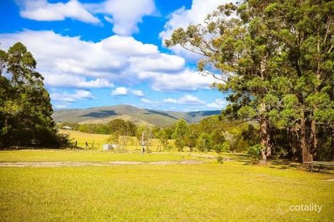633 Markwell Back Rd, Markwell, NSW 2423