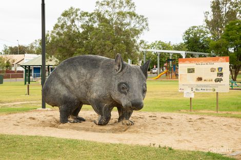 Property photo of 35 Garah Street Thallon QLD 4497