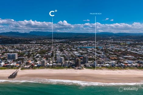 Property photo of 56 Twelfth Avenue Palm Beach QLD 4221