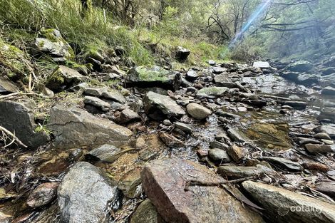 85/305 Big Jack Mountain Rd, Burragate, NSW 2550