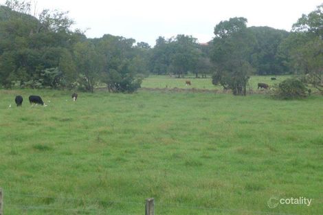 Property photo of 2440 Kyogle Road Terragon NSW 2484