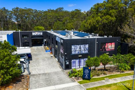 117 Olympic Cct, Southport, QLD 4215