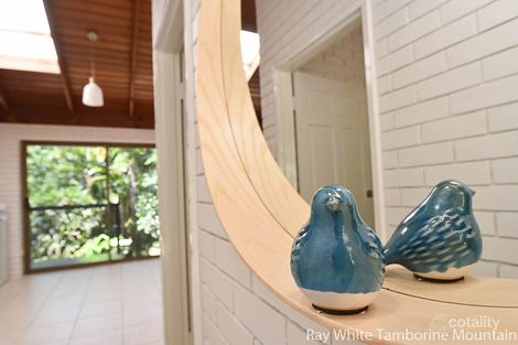 Property photo of 71 Pacific Parade Tamborine Mountain QLD 4272