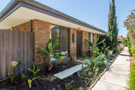 Property photo of 5/186 Grand Promenade Doubleview WA 6018