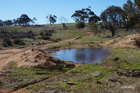 45 Osborn Rd, Mount Hardey, WA 6302