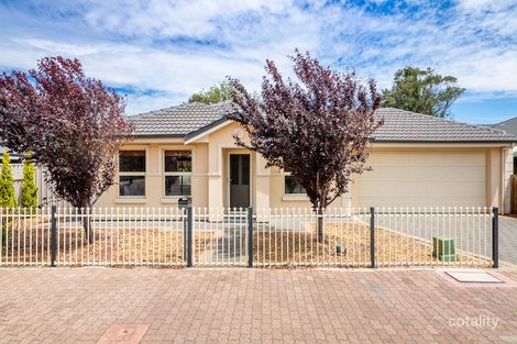 46 Macfarlane St, Glenelg North, SA 5045