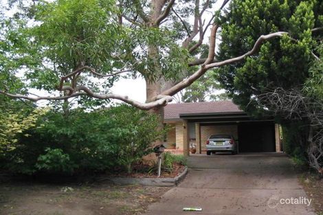 12 Timbarra Rd, St Ives Chase, NSW 2075