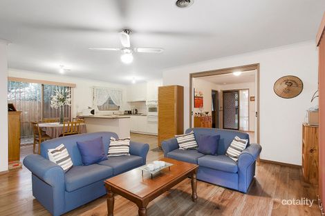 Property photo of 19 Insignia Crescent Berwick VIC 3806