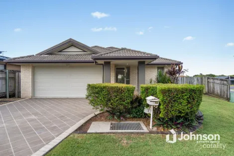 17 Janelle Ct, Wellington Point, QLD 4160