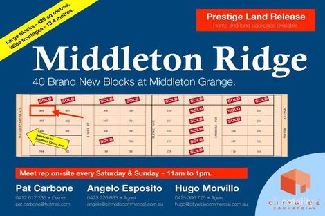 Lot 404/167 Southern Cross Ave, Middleton Grange, NSW 2171