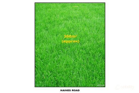 Property photo of 1B Haines Road Tea Tree Gully SA 5091