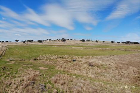 Property photo of 362 Bukkulla Road Ashford NSW 2361