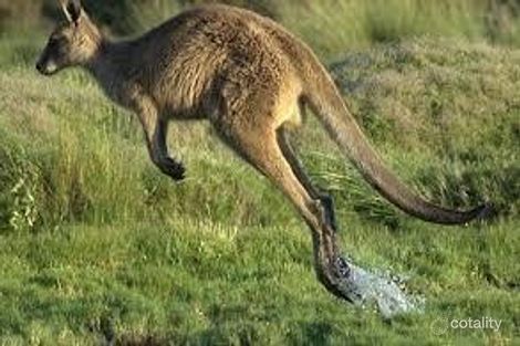 Property photo of 67 Pottery Road Dingabledinga SA 5172