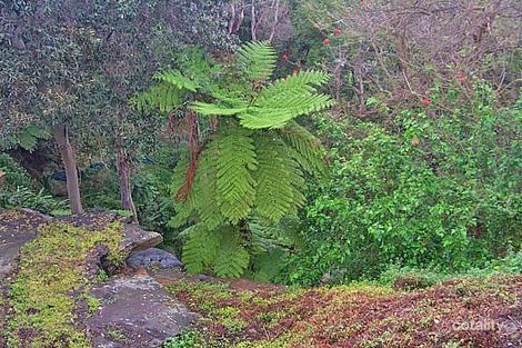 Oswald St, Mosman, NSW 2088