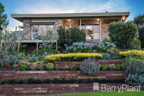 Property photo of 39 Challambra Crescent Highton VIC 3216