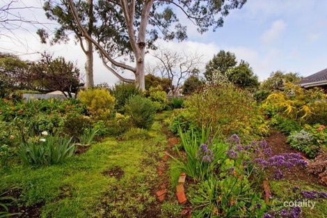 Property photo of 4 Barr-Smith Street Tusmore SA 5065