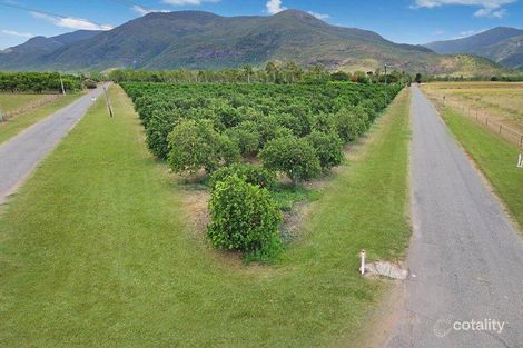 151 Majors Creek Rd, Majors Creek, QLD 4816