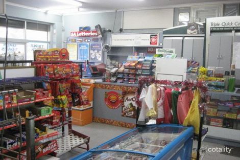 55 Bray St, Plympton Park, SA 5038