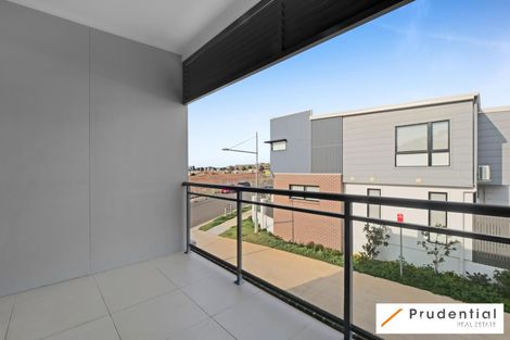 Property photo of 17 Heron Lane Oran Park NSW 2570