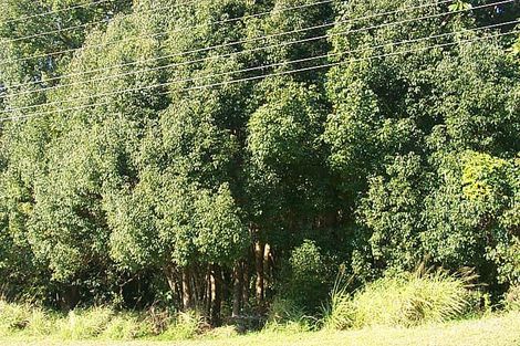 57 Elizabeth St, Nambour, QLD 4560