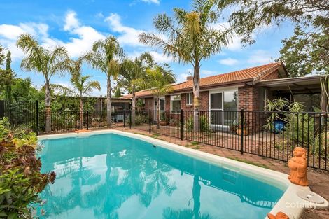 16 Solandra Cres, Modbury North, SA 5092