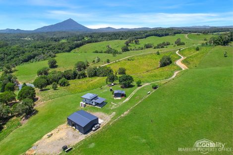 4532 Black Mountain Rd, Julatten, QLD 4871