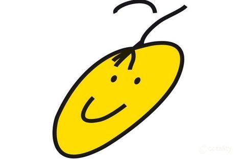 61a Lancaster St, Dianella, WA 6059