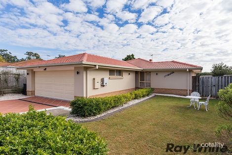 Property photo of 81 Shelduck Place Calamvale QLD 4116