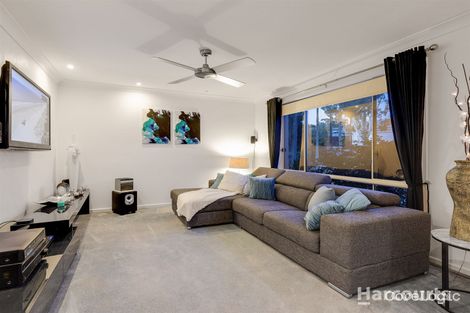 Property photo of 49 Kirri Avenue Petrie QLD 4502