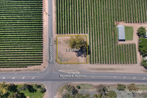 59 Twentyfifth St, Renmark South, SA 5341
