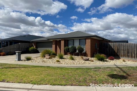 Property photo of 7 Angus Road Traralgon VIC 3844