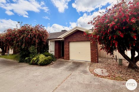 5/746 Wood St, Albury, NSW 2640