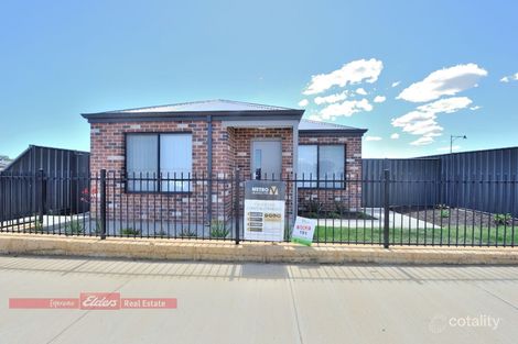 14 Nadine Prom, Baldivis, WA 6171