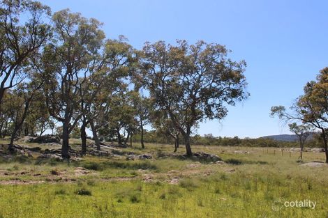 170 Mount Mckenzie Rd, Tenterfield, NSW 2372